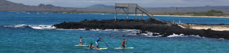 Paddle en la Bahía